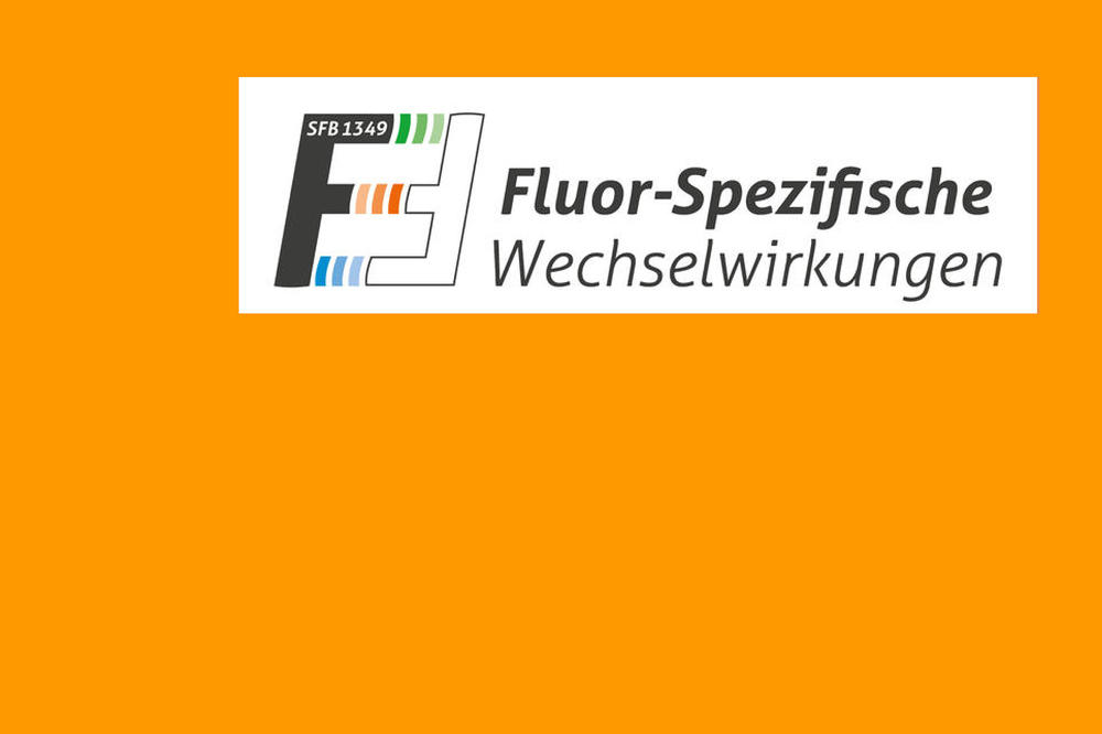 Slides SFB Fluor 3 zu 2