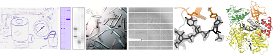 banner (new), Breite 546px