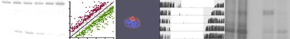 BannerHeydneu