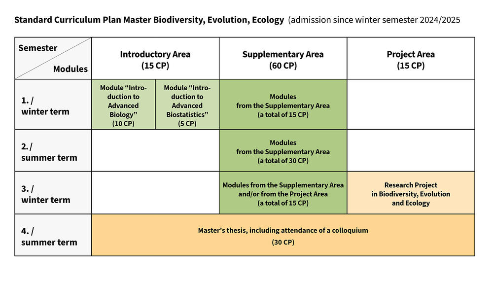 Standard curriculum plan of the Master’s Degree Program Biodiversity, Evolution, Ecology (admission since winter semester 2024/2025)