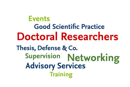 Doctoral Researchers