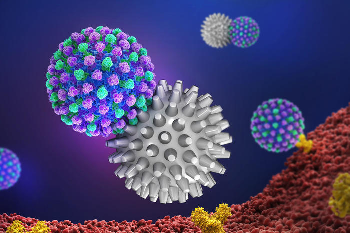 Durch eine Abschirmung der Virusoberfläche (blau-grün) mit stacheligen multivalenten Nanopartikeln (grau) wird das Andocken an die Zellmembran (rot) – und damit eine Infektion – effizient verhindert.