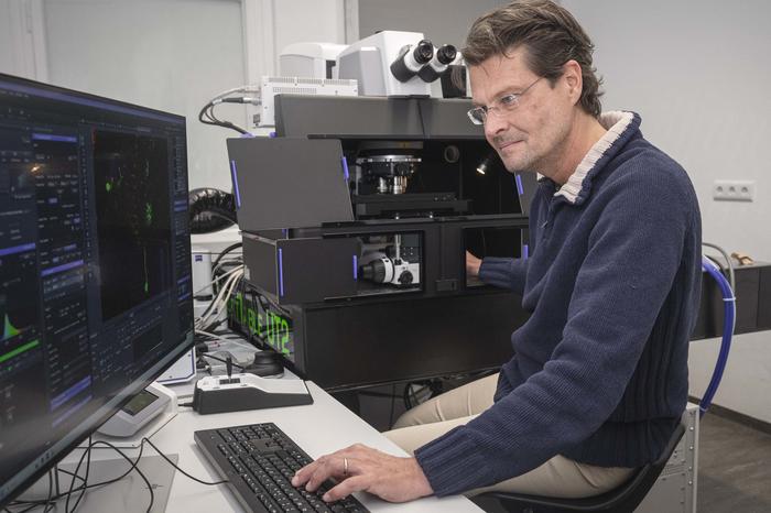 Robin Hiesinger am Multi-Photonen-Mikroskop – beim Blick in das Hirn einer lebenden Fliege.