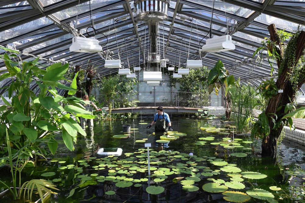 Das Victoria-Haus im Botanischen Garten