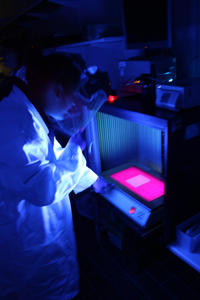 Nachweis von DNA mittels UV-Licht und Farbstoff