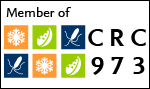 Member of CRC 973