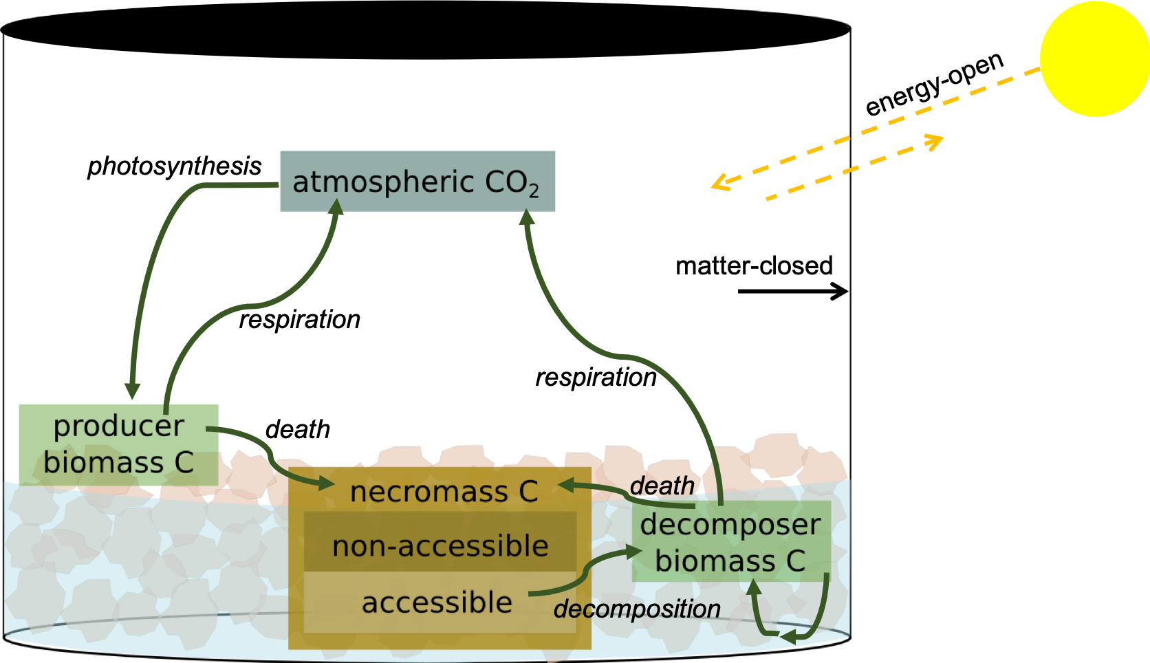 Biosphere C Cycle Diagram