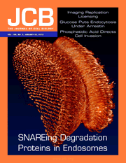 jcb_cover2012big