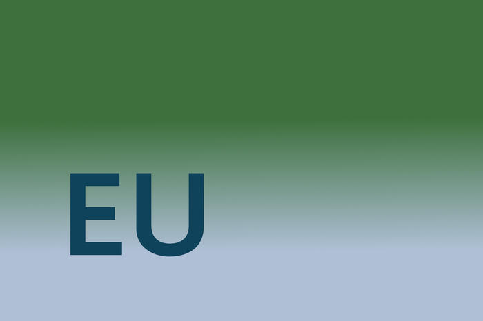 An EU-geförderten Projekten beteiligte Gruppen der FU-Chemie