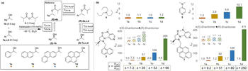 ange202011687-fig-0001-m