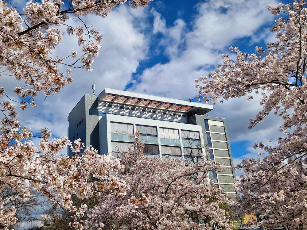 Gebäude der Anorganischen Chemie