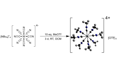 Achtfache Methylierung zu dem hoch oxidierten Isonitrilkomplex [W(CNMe)8]4+