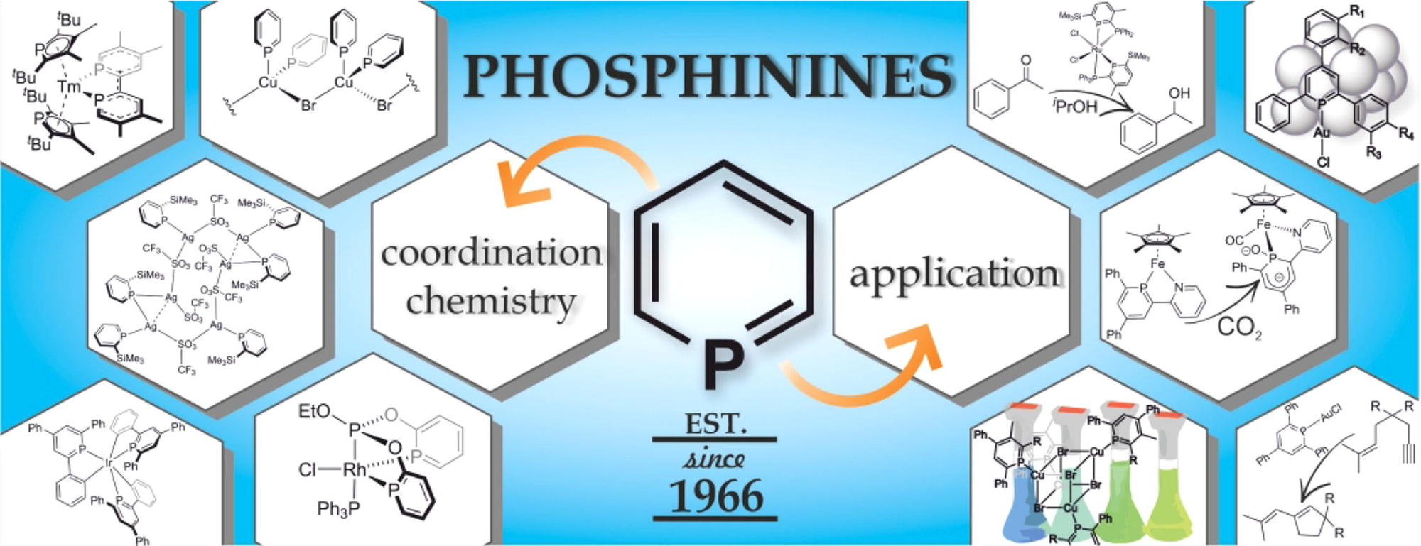 Im Fokus steht die Koordinationschemie von Phosphininen und deren Anwendungsgebiete