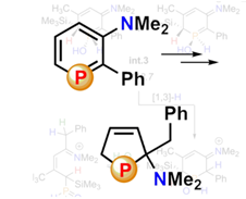 Phospholenes from Phosphabenzenes by Selective Ring Contraction
