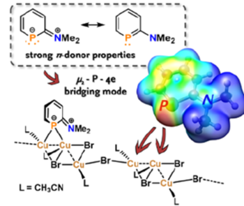 Durch die starke Wechselwirkung der π-donierenden NR2-Gruppe mit dem aromatischen Phosphorheterozyklus fungiert erstmalig ein neutrales Phosphinin als seltener μ2-P-4e        Donor-Ligand