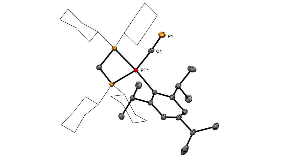 Cyaphido Komplex