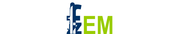 FZEM-Logo-8bit-150_sehr_breit