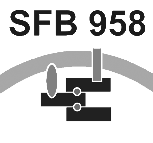 Goto SFB 958 Homepage