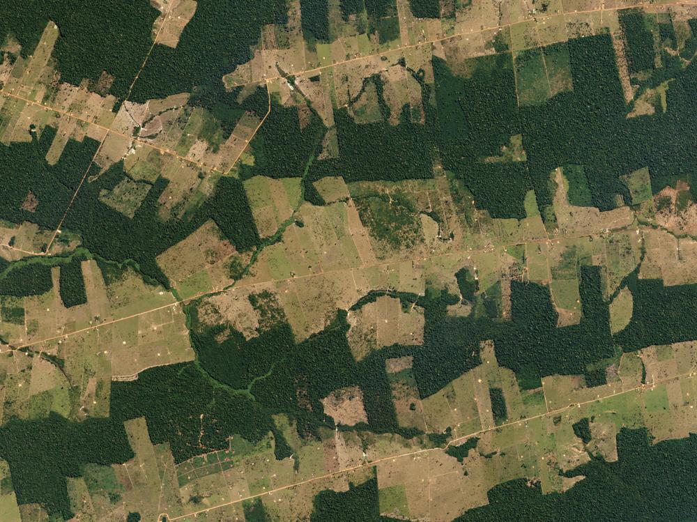 Fragmented forest, Brazil