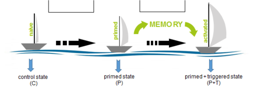 Priming