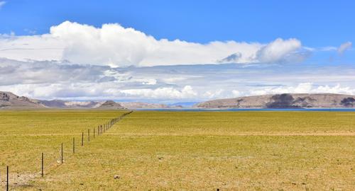 Landscape of Tibetan alpine grasslands