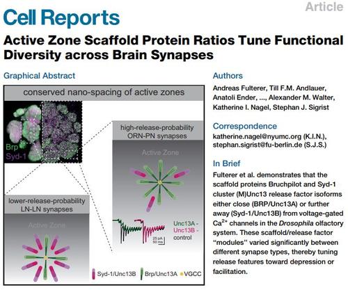 Fulterer et al 2018 Cell Reports