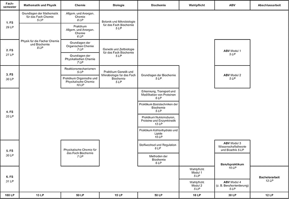 Exemplarischer Studienverlaufsplan