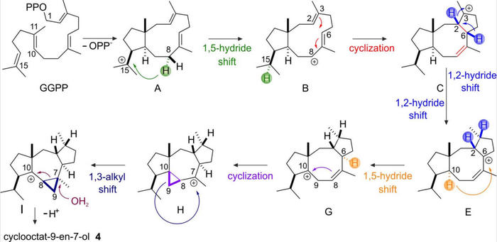 Loll in Beilstein J Org Chem