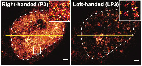 Geertsema in Nature Biotechnology