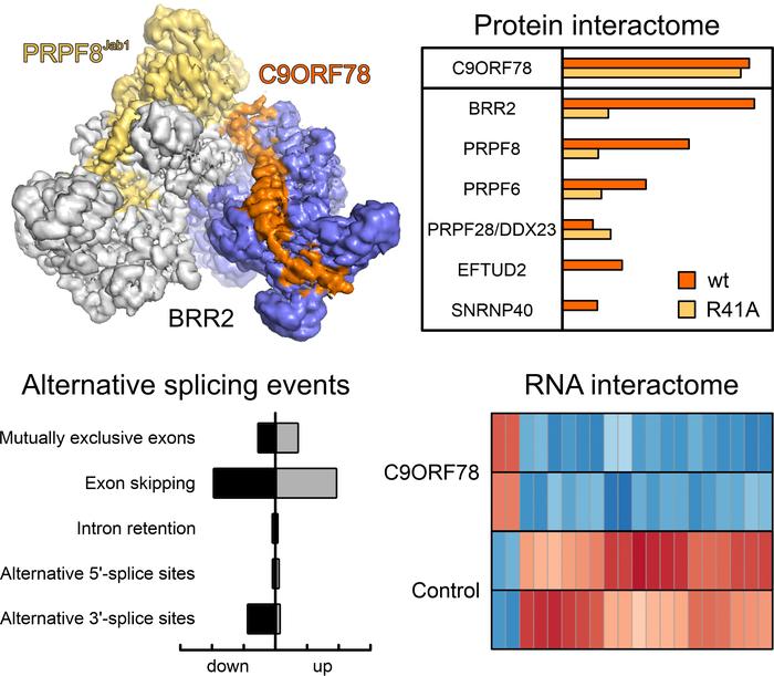Bergfort et al. in Nature Communications