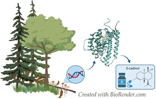 Dimos et al in Mircobial Cell Factories