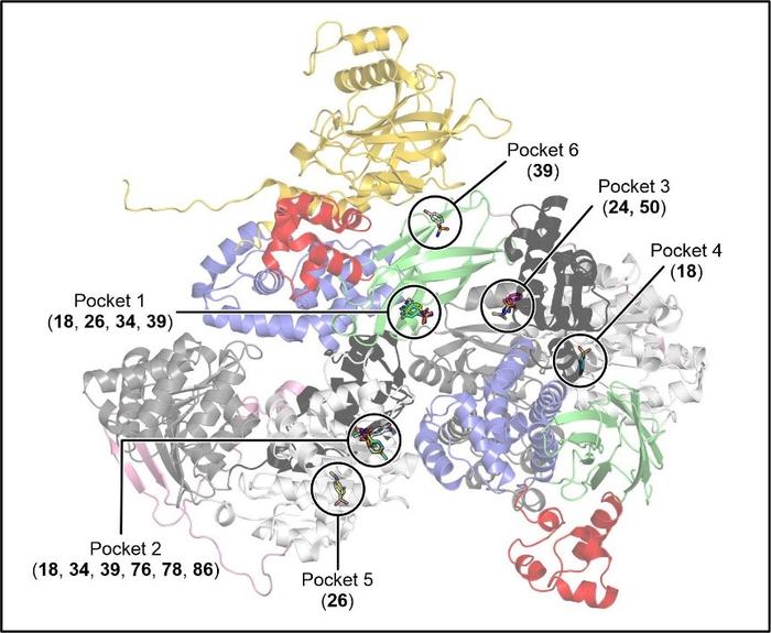 230312 Vester et al. in Acta Crystallographica D