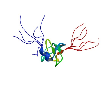 2GTJ: hSH3N domain of ADAP in its reduced form