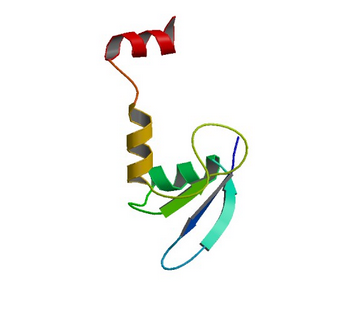 3K3V: Smy2 GYF domain (S. cerevisiae)