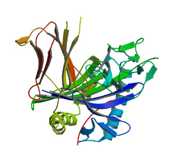 3PGD: HLA-DR1 with CLIP (106-120) in its canonical orientation