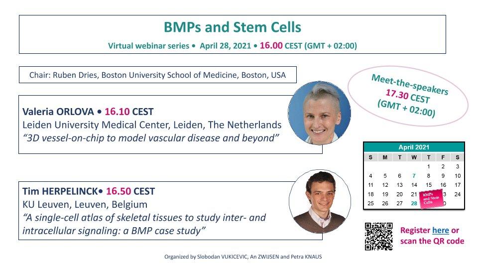 BMP Forum April 28 BMPs and Stem Cells