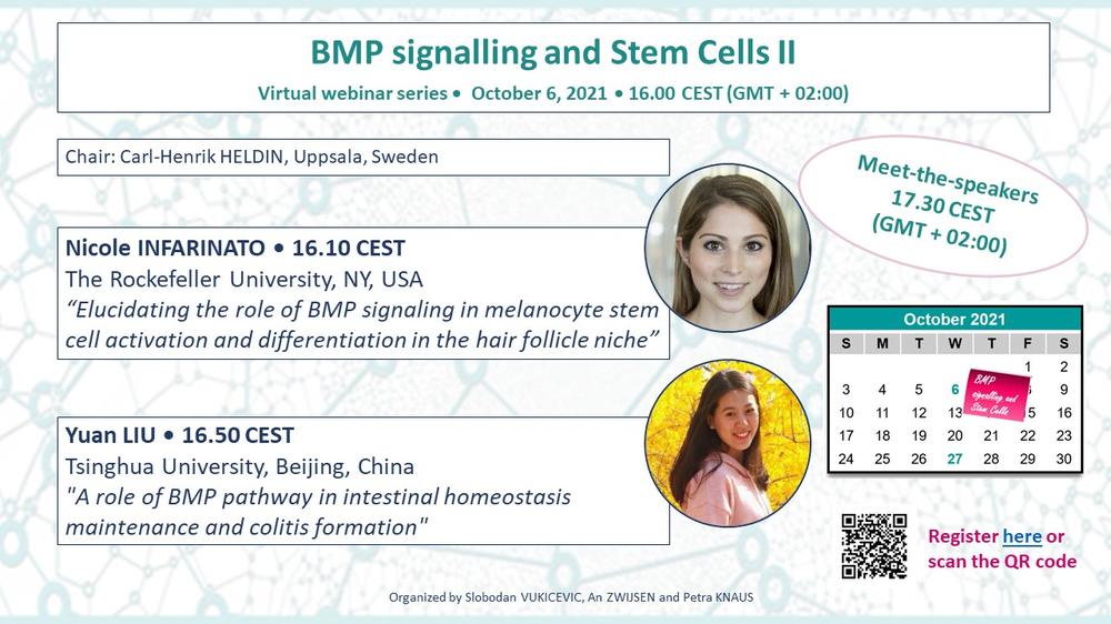 2021-10-06_BMP signaling and SCs II_session 16