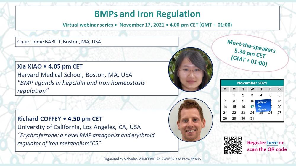 2021-11-17_BMPs and Iron regulation_BMP Forum_18