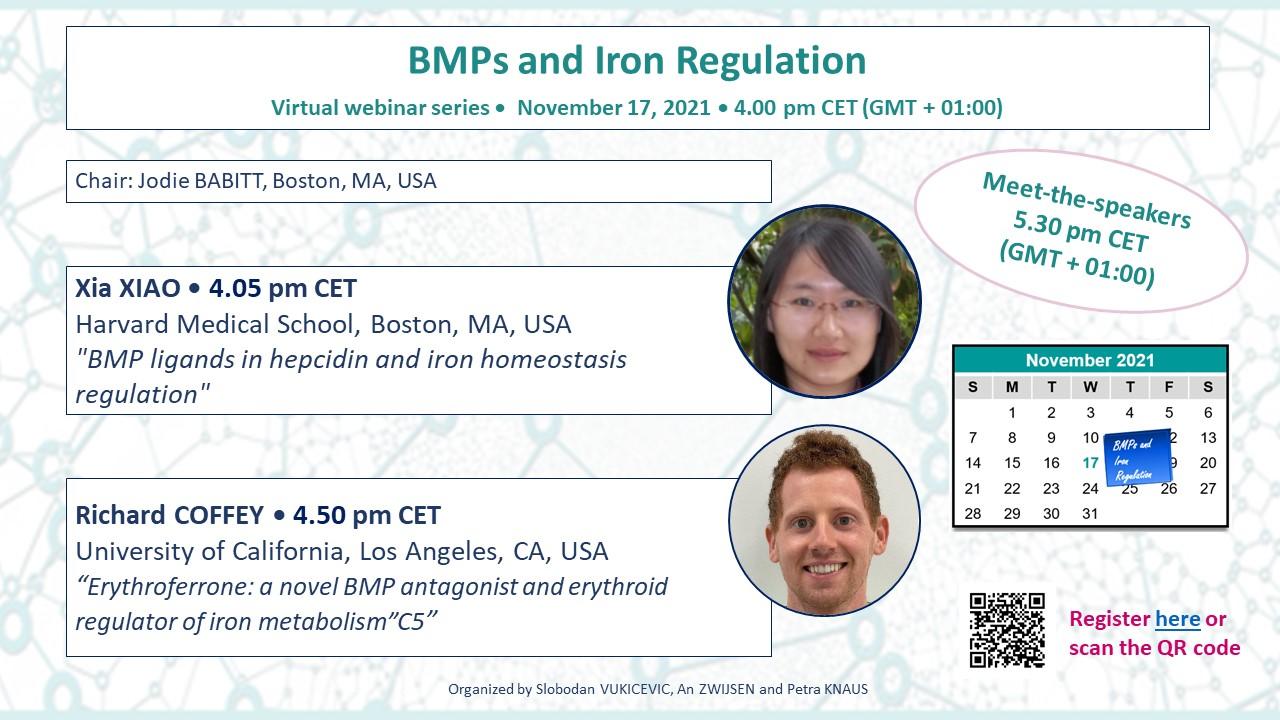 2021-11-17_BMPs and Iron regulation_BMP Forum_18