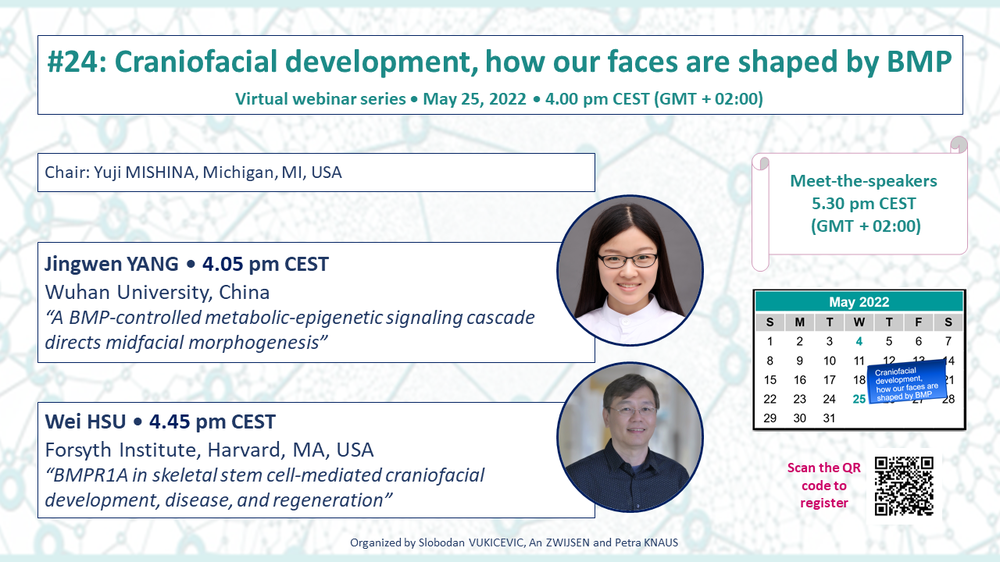 2022-05-25_BMP Forum_Craniofacial development