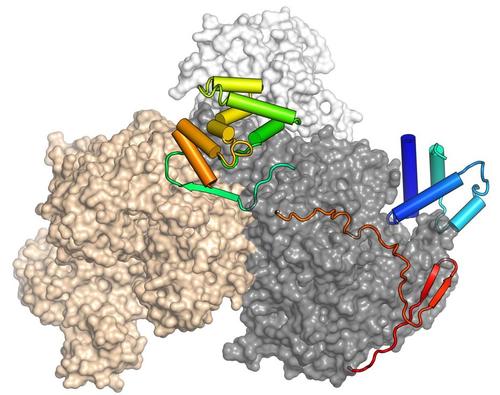 Brr2-Jab1 RNP remodeling complex