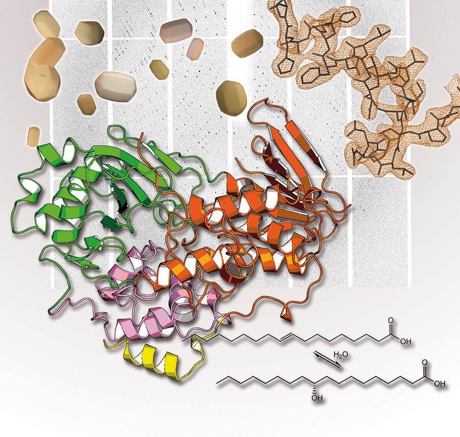 cover_chemcatchem3