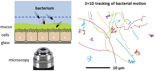 Concept In Situ Bacterial Tracking