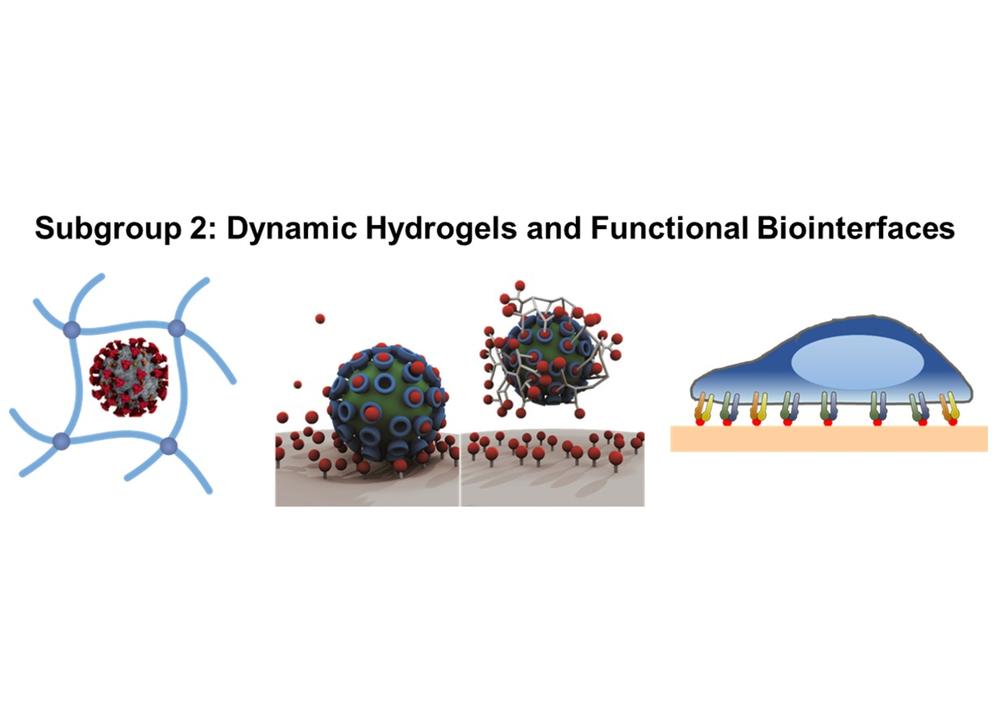 Subgroup 2