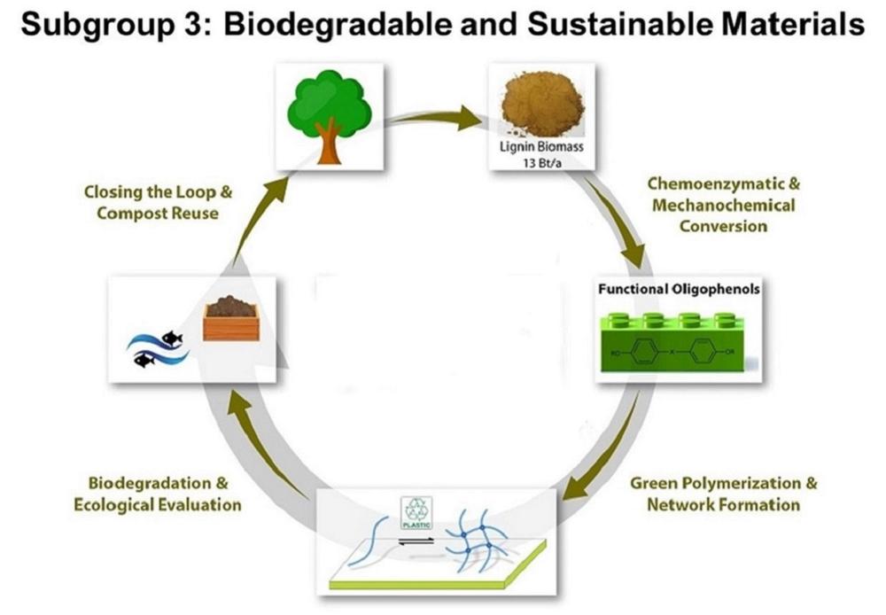 Subgroup 3