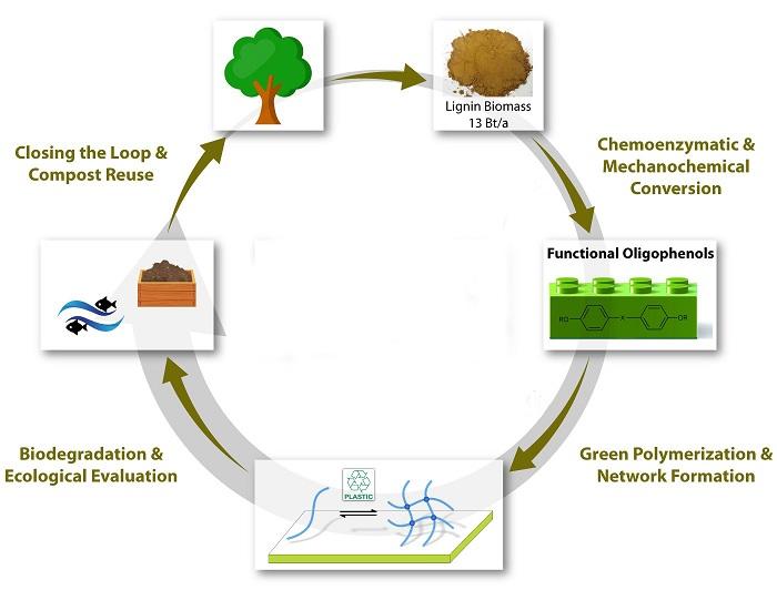 Polymers