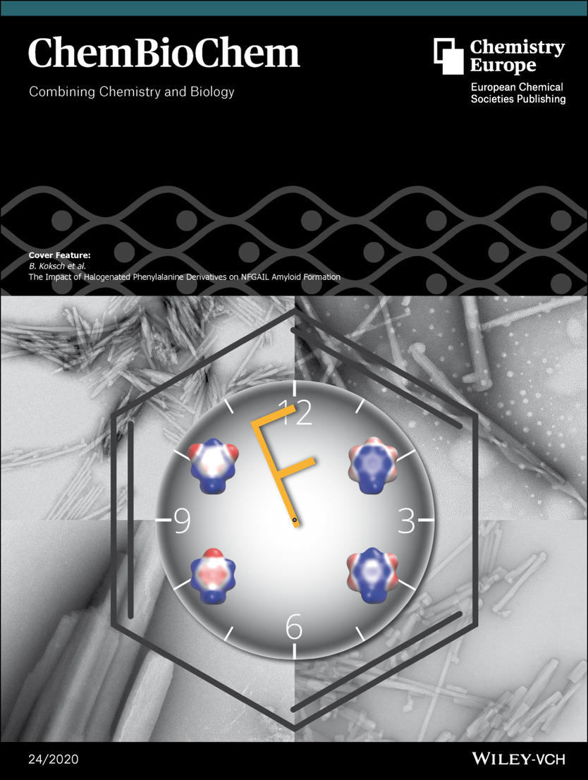 Cover_ChemBioChem_The Impact of Halogenated Phenylalanine Derivatives on NFGAIL Amyloid Formation