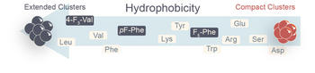 bild_Hydrophobicity_AngewChem_TOC