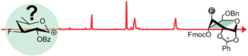 Fluorinated Glucose