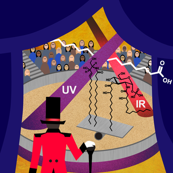 Lipid Analysis by Mass Spectrometry and Laser Light